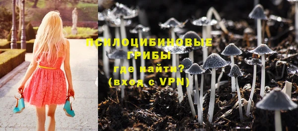 мдма Осинники