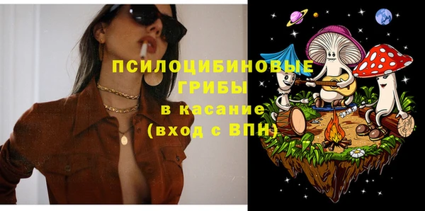 меф Переславль-Залесский