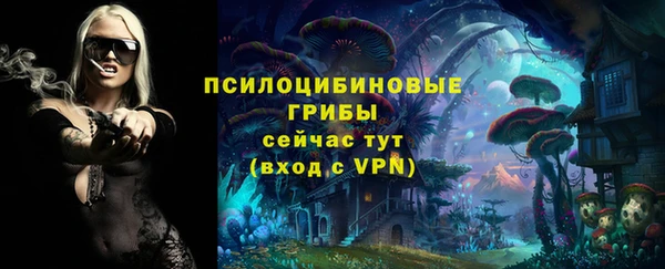 mix Осташков