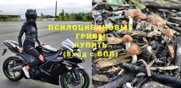 ALPHA PVP Остров